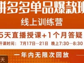 钟辰·拼多多单品爆款班,一个拼多多超级爆款养一个团队