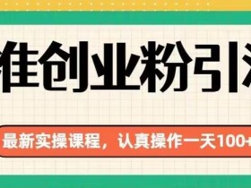 精准创业粉引流最新实操课程,认真操作一天100+