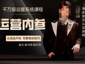 电商冰可乐·运营内参,千万级运营系统课,淘系高阶运营手册,从选品开始,完整做店技巧