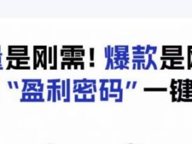 电商盈利精品课:6大盈利密码让产品更好卖,流量是刚需!爆款是刚需!找到”盈利密码”一键起爆