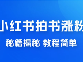小红书拍书涨粉秘籍揭秘,教程简单,快速涨粉轻松变现
