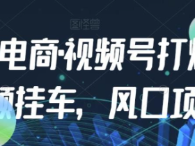 2023九门电商·视频号打爆短视频挂车,风口项目