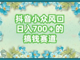 抖音小众赛道,长期可做,简单容易复制