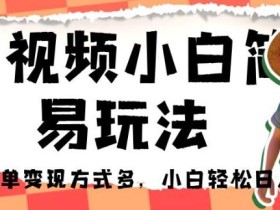 中视频小白简易玩法,操作简单变现方式多,小白轻松日入500+!【揭秘】
