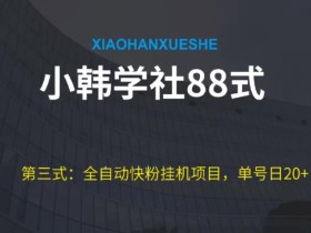 小韩学社88式第三式:全自动快粉挂机项目,单号日20+