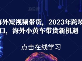 黑冰·海外短视频带货,2023年跨境新风口,海外小黄车带货新机遇