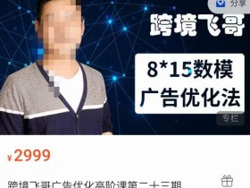 跨境飞哥·广告优化高阶课第二十三期,8*15数模广告优化法,用数据驱动决策