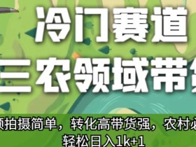 冷门赛道三农领域带货,视频拍摄简单,转化高带货强,农村必做!【揭秘】