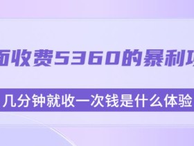 外面收费5360的暴利项目,几分钟就收一次钱是什么体验,附素材【揭秘】