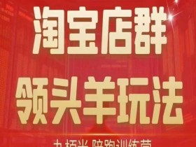 九栢米-淘宝店群领头羊玩法,教你整个淘宝店群领头羊玩法以及精细化/终极蓝海/尾销等内容