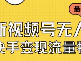 最新视频号无人直播转快手变现美女玩法日入500+【教程+素材】