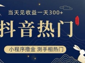 抖音最新小程序撸金,测手相上热门,当天见收益一小时变现300+【揭秘】
