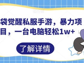 口袋觉醒私服手游,暴力项目,一台电脑轻松1w+【揭秘】