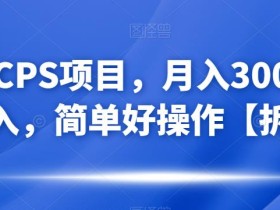 网盘CPS项目,月入3000+,0投入,简单好操作【拆解】
