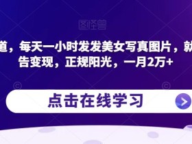蓝海赛道,每天一小时发发美女写真图片,就能接广告变现,正规阳光,一月2万+【揭秘】