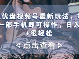 车载优盘视频号最新玩法,零门槛,一部手机即可操作,日入300+很轻松