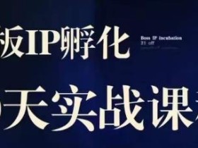 诸葛·2023老板IP实战课,实体同城引流获客,IP孵化必听