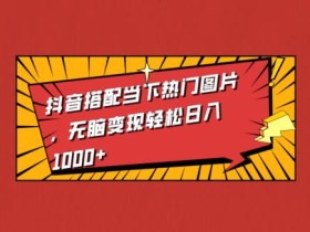 抖音搭配当下热门图片,无脑变现轻松日入1000+