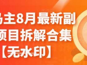 黄岛主8月最新副业项目拆解合集【无水印】