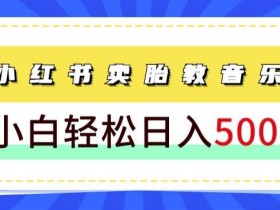 长期项目,小红书卖胎教音乐,学完就能上手,轻松日入500+(教程+胎教音乐合集)