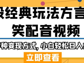 毁经典玩法方言搞笑配音视频,多种变现方式,小白轻松日入500+!