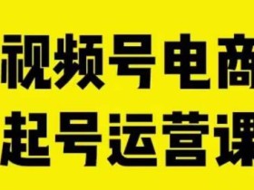 视频号电商起号运营课,教新人如何自然流起号,助力商家0-1突破