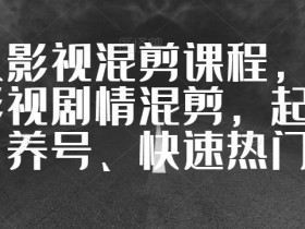 华人影视混剪课程,中视频影视剧情混剪,起号、养号、快速热门