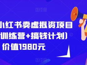 紫阳·小红书卖虚拟资项目(导师训练营+搞钱计划)价值1980元