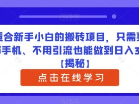 适合新手小白的搬砖项目,只需要一部手机、不用引流也能做到日入300+【揭秘