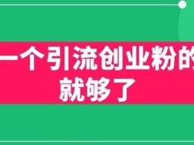 用这一个引流创业粉的方法就够了,PPT短视频引流创业粉【揭秘】