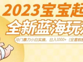 2023宝宝起名全新蓝海玩法,冷门暴力小白实操,日入1000+(全套教程)【揭秘】