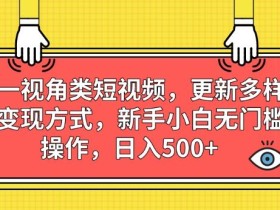 第一视角类短视频,更新多样化变现方式,新手小白无门槛操作,日入500+【揭秘】