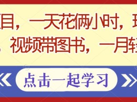 暴利项目,一天花俩小时,玩励志书单号,视频带图书,一月轻松3w+