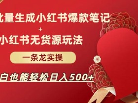 AI批量制造小红书爆款笔记+小红书无货源,玩法一条龙实操,小白也能轻松日入500+【揭秘】