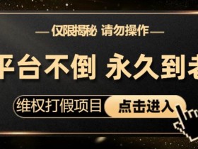 维权打假项目,电商平台不倒,项目长久到老,零投入,高回报,日入1000+(仅揭秘,勿操作)