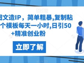 快手图文造IP,简单粗暴,复制粘贴,套个模板每天一小时,日引50+精准创业粉【揭秘】