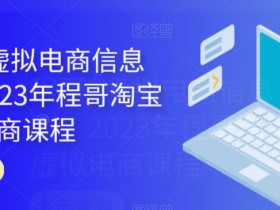 程哥·虚拟电商信息圈,2023年程哥淘宝虚拟电商课程
