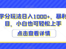 靠交管学分玩法日入1000+,暴利风口项目,小白也可轻松上手