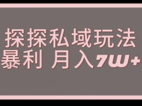 探探最新的私域玩法非常厉害操作简单,聊聊天就能有收入