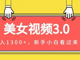 美女视频3.0,变现新思路,一天变现1300+,新手小白轻松上手(教程+素材+文案)