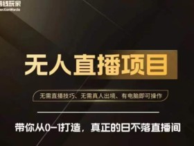 前线玩家快手无人直播带货课,带你从0-1打造,真正的日不落直播间