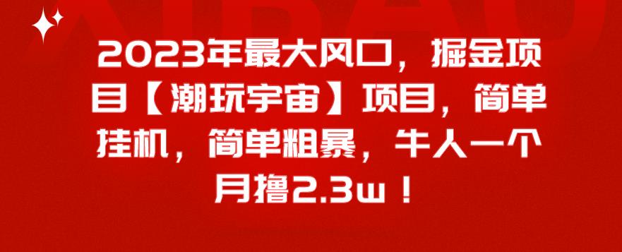 2023年最大风口,掘金项目【潮玩宇宙】,简单挂机,简单粗暴,牛人一个月撸2.3w!